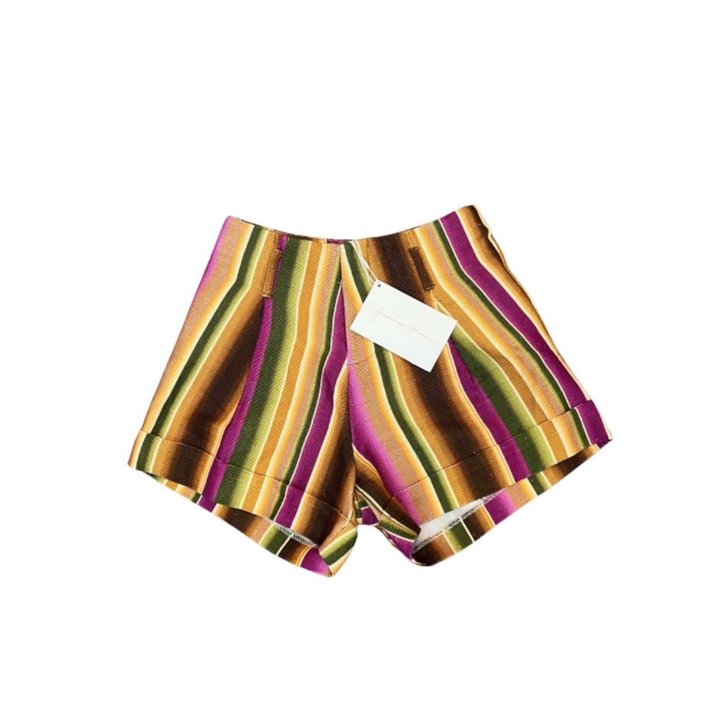 Savannah Morrow Ana Prism Shorts in Multi Striped Size XS High Rise Flat Front